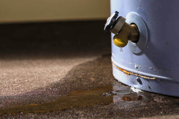 Best Mold removal after water damage  in Duchesne, UT
