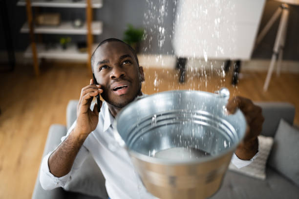 Best Basement water damage restoration  in Duchesne, UT