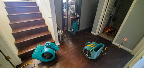Best Sewage cleanup and water damage restoration  in Duchesne, UT
