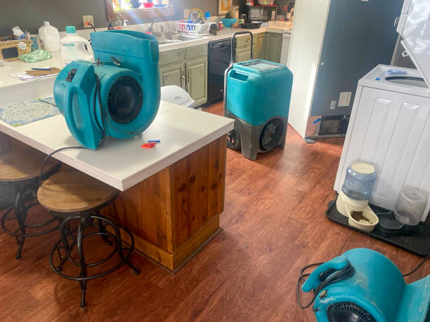 Best Basement water damage restoration  in Duchesne, UT