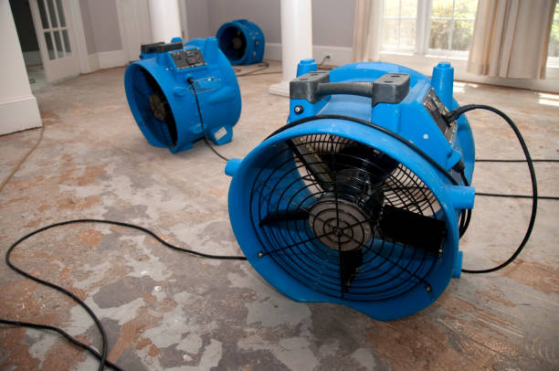 Best Carpet water damage restoration  in Duchesne, UT