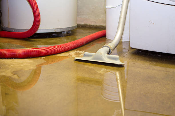 Best 24/7 water damage repair  in Duchesne, UT