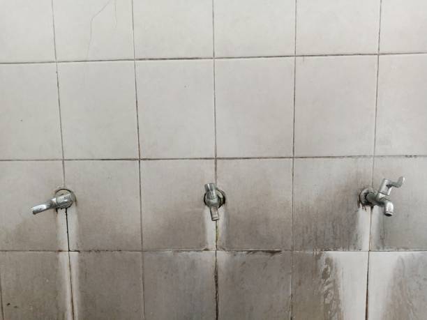 Best Water damage restoration near me  in Duchesne, UT