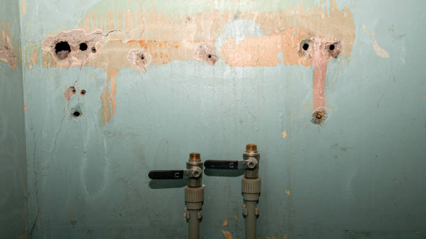 Best Water damage restoration near me  in Duchesne, UT