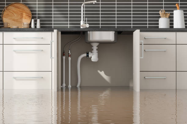 Best Water damage restoration specialists  in Duchesne, UT