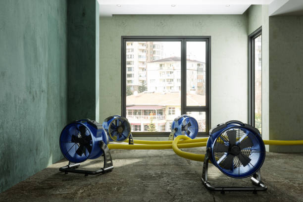 Best Fire Damage Restoration  in Duchesne, UT